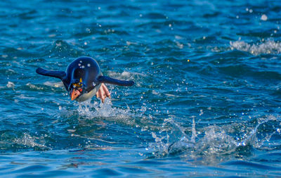 Man swimming in sea