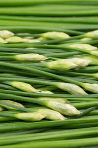 Full frame shot of green beans