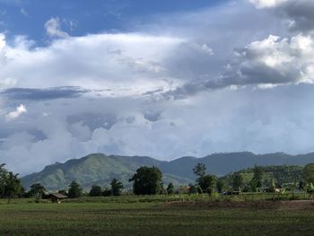 Scenic view of agricultural field against sky
