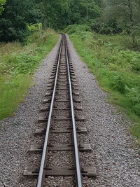 Railroad track amidst trees