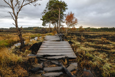 Boardwalk amidst trees on field against sky