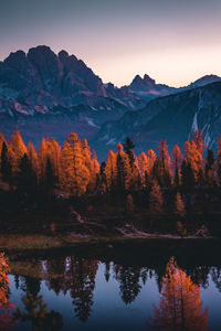 Reflection of trees in lake during sunset