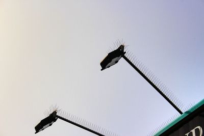 Low angle view of bird flying against clear sky