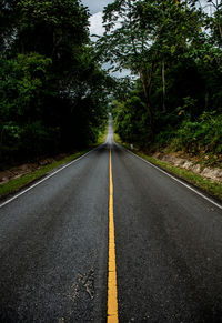 Surface level of empty road in forest