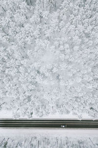 Aerial view of road amidst snow covered trees and land