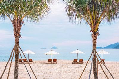 Palm trees on beach against sky