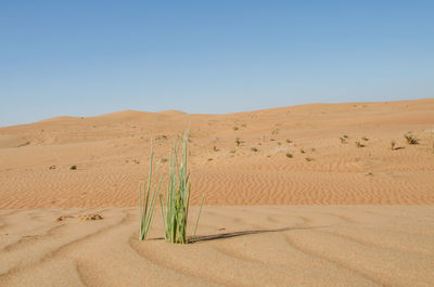 Scenic view of desert against clear sky