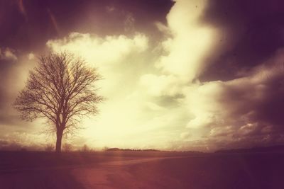 Scenic view of landscape against cloudy sky