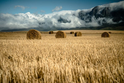 Hay bales on field against sky