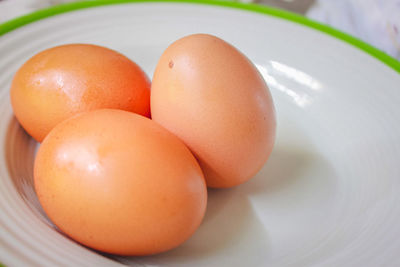 Close-up of eggs in plate