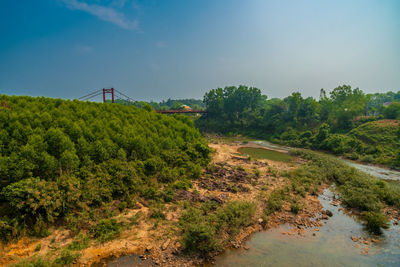 environment