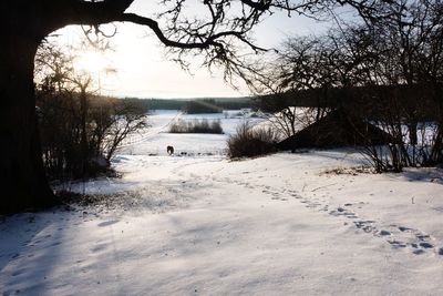 Scenic view of snowy field against sky during winter