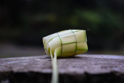 Close-up of small drink on table