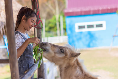 Woman feeding goat in zoo