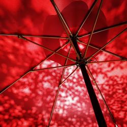 Low angle view of wet red umbrella