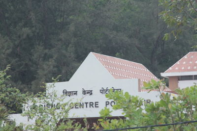 View of trees in forest