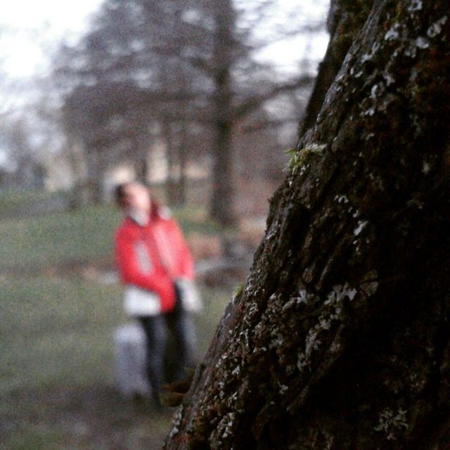 tree trunk, tree, focus on foreground, textured, bark, close-up, rough, nature, selective focus, wood - material, day, growth, plant bark, outdoors, moss, forest, beauty in nature, tranquility, no people, natural pattern