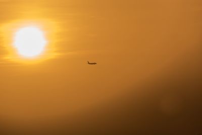 Silhouette bird flying against sky during sunset