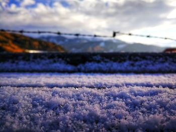 Close-up of snow on field against sky during sunset