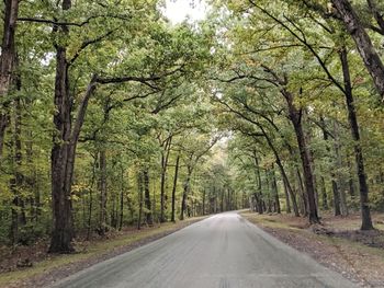 Road amidst trees in forest