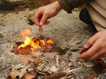 Close-up of bonfire at night