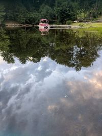 Reflection of trees on lake