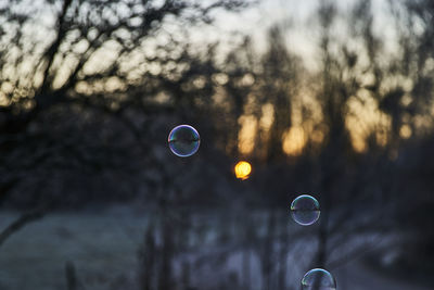 Bubbles against sky