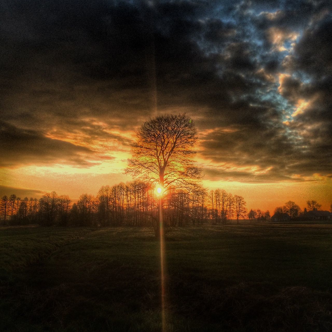 sunset, sun, tranquil scene, tranquility, sky, scenics, beauty in nature, silhouette, field, landscape, nature, sunlight, cloud - sky, tree, idyllic, back lit, grass, sunbeam, growth, orange color