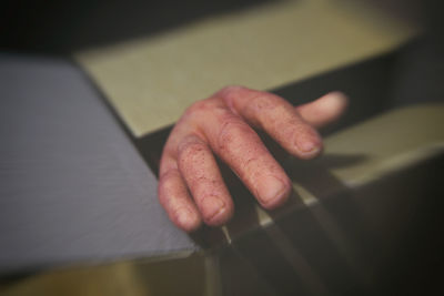 High angle view of person holding hands