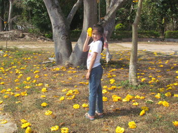 Full length of a girl standing on yellow flower