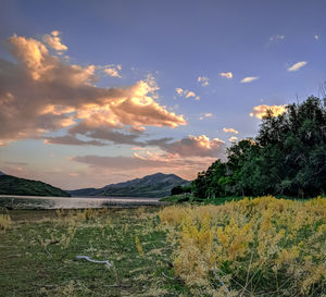 Scenic view of field against sky during sunset