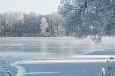 winter