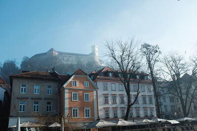 Bare trees with buildings in background