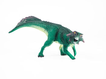 Close-up of animal representation against white background