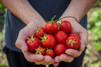 Midsection of woman holding strawberries