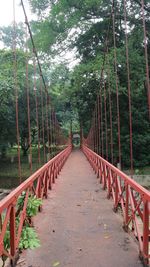 Footbridge amidst trees in forest