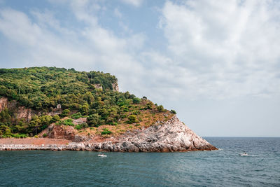 Rocky cliff covered partially with trees. palmaria island in liguria, italy