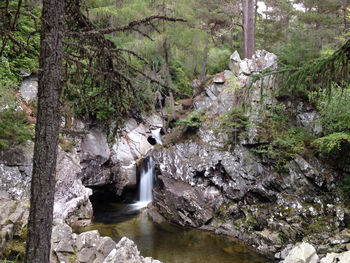 Scenic view of river flowing through rocks