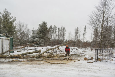 Lumberjack cutting logs against sky in forest during winter
