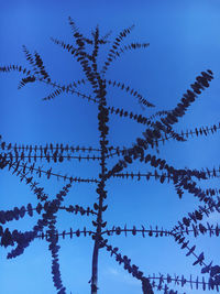 Low angle view of barbed wire against clear blue sky