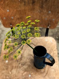 Close-up of plant on table