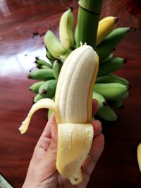 Cropped image of person holding vegetables banana from my garden