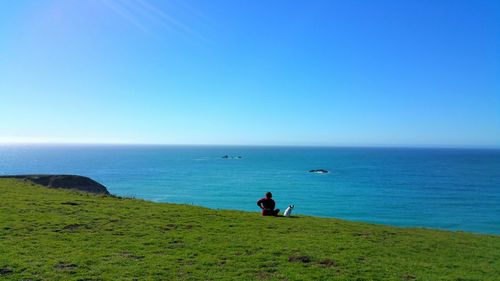 Person sitting with dog on field over sea against clear blue sky