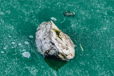 High angle view of rock in sea