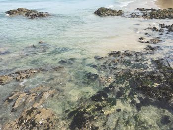 High angle view of rocks on beach