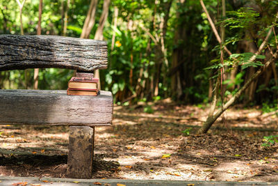 Close-up of bench in park