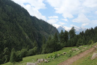 Scenic view of trees and mountains against sky