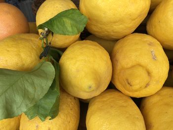 Close-up of fruits for sale in market