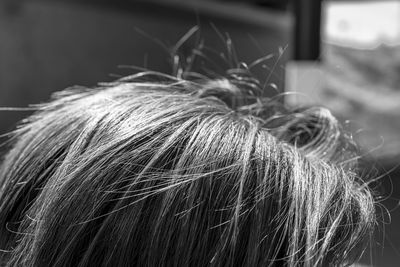Close-up portrait of woman outdoors