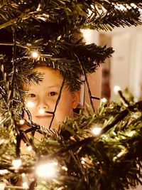 Portrait of boy standing by illuminated christmas tree